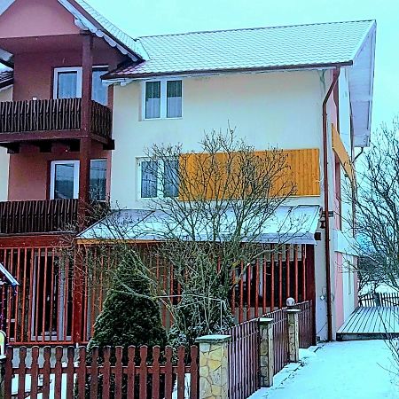 Pensiunea Casa Maia Neagra Sarului Bagian luar foto