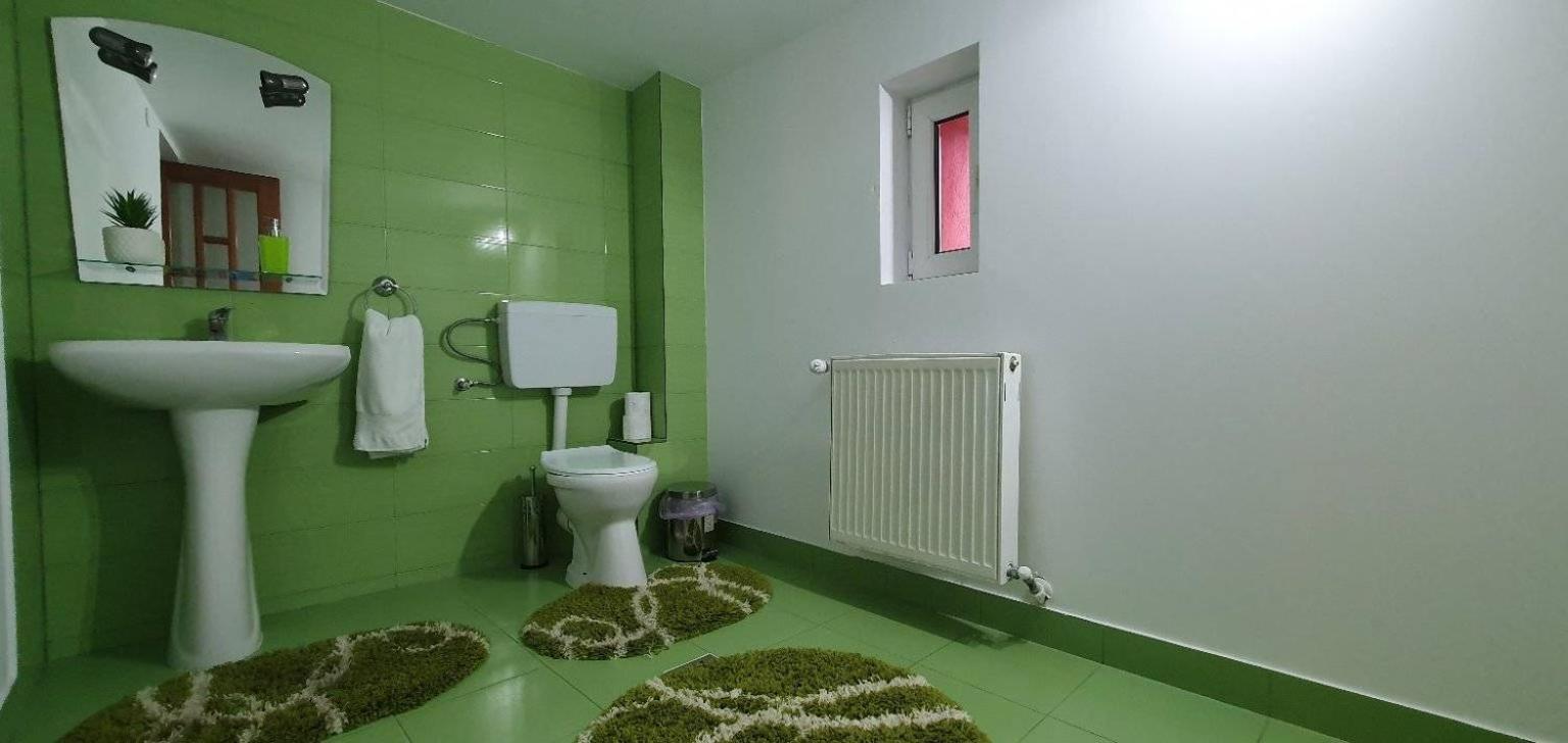 Pensiunea Casa Maia Neagra Sarului Bagian luar foto