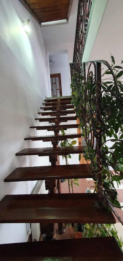 Pensiunea Casa Maia Neagra Sarului Bagian luar foto