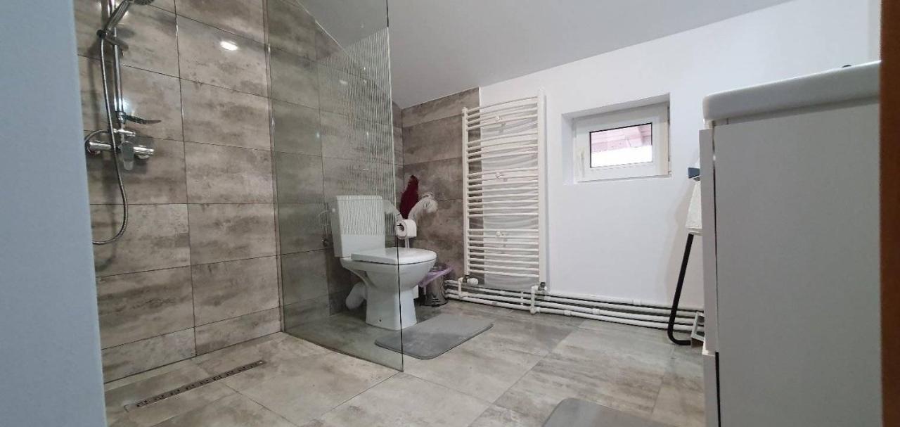 Pensiunea Casa Maia Neagra Sarului Bagian luar foto